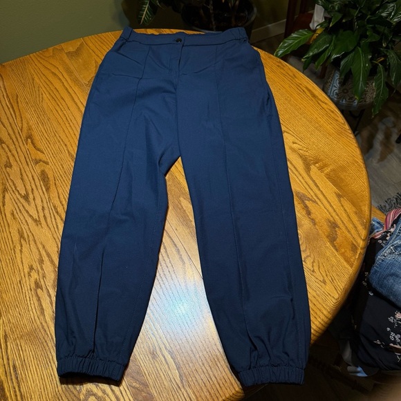 Lululemon Warpstreme HR 7/8 Joggers Size 28 Navy Pants - Picture 4 of 4